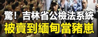 [ID: cZrJih2xjBY] Youtube Automatic