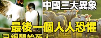 [ID: KtGtoUQhlWE] Youtube Automatic