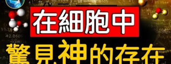 [ID: ENqE9KuJUa8] Youtube Automatic