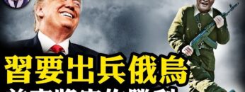 私密：[ID: 6NNn7Zjqd7c] Youtube Automatic