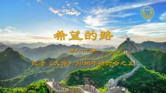 [ID: qabPFK0u_b4] Youtube Automatic