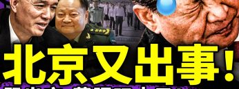 私密：[ID: DmOpagHuo8I] Youtube Automatic