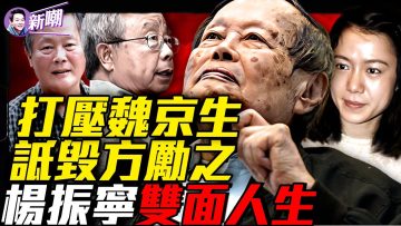 私密：[ID: dVE_KBtuNUs] Youtube Automatic