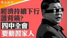 [ID: pNdGcHM1Fas] Youtube Automatic