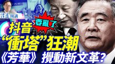 私密：[ID: 5nizZ4T_xOk] Youtube Automatic