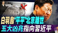 私密：[ID: Y1bUhXxJNDw] Youtube Automatic