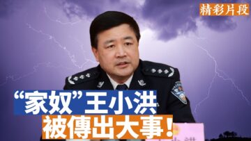 [ID: ulvTZRO7WLY] Youtube Automatic